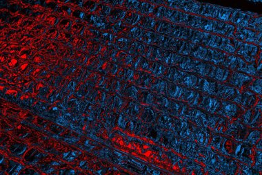 soyut mavi desen, arkaplan, duvar kağıdını kopyala