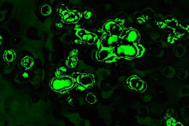 soyut Yeşil ve siyah doku ve arkaplan, boşluğu kopyala
