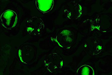 Yeşil ve siyah doku ve arkaplan, boşluğu kopyala