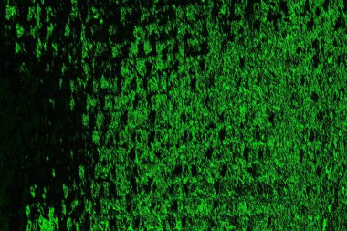 soyut siyah yeşil doku, arkaplan, duvar kağıdını kopyala