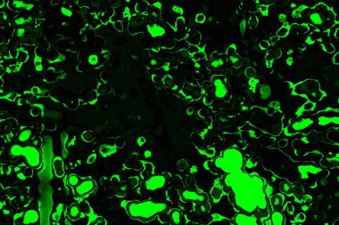 soyut siyah yeşil doku, arkaplan, duvar kağıdını kopyala
