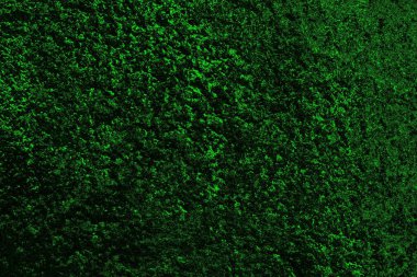 soyut yeşil doku, arkaplan, duvar kağıdını kopyala