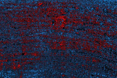 soyut mavi desen, arkaplan, duvar kağıdını kopyala