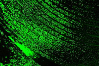 soyut yeşil ve siyah doku ve arkaplan, uzay duvar kağıdını kopyala