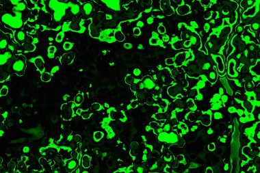 soyut siyah yeşil doku, arkaplan, duvar kağıdını kopyala