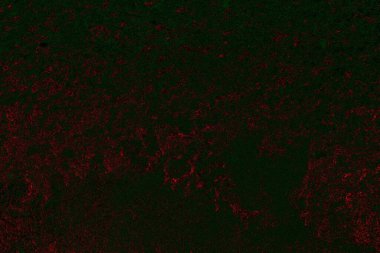 soyut siyah yeşil doku, arkaplan, duvar kağıdını kopyala