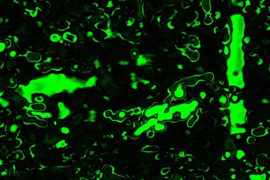 soyut siyah yeşil doku, arkaplan, duvar kağıdını kopyala