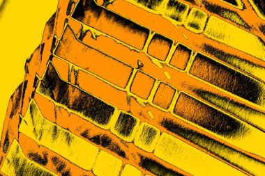 Kırmızı sarı ve siyah renkli kirli duvar, desenli arka plan.