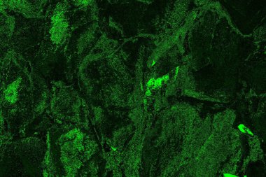 soyut siyah yeşil doku, arkaplan, duvar kağıdını kopyala