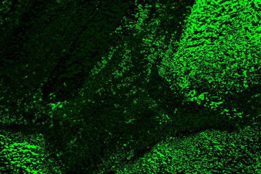 soyut siyah yeşil doku, arkaplan, duvar kağıdını kopyala