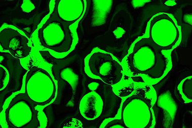 soyut siyah yeşil doku, arkaplan, duvar kağıdını kopyala