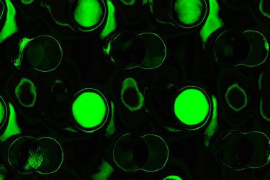 soyut siyah yeşil doku, arkaplan, duvar kağıdını kopyala