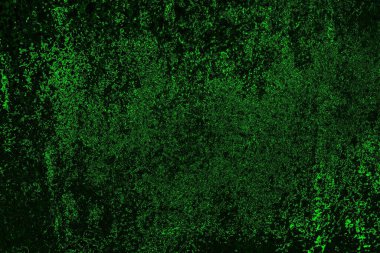 soyut Yeşil ve siyah doku ve arkaplan, boşluğu kopyala