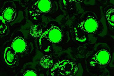 Yeşil ve siyah doku ve arkaplan, boşluğu kopyala