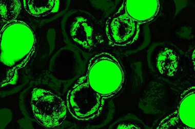 Yeşil ve siyah doku ve arkaplan, boşluğu kopyala