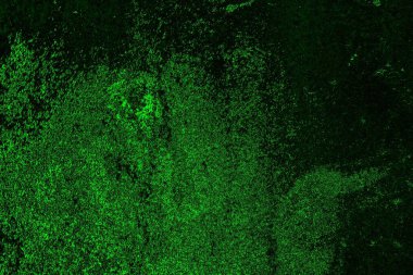 soyut yeşil ve siyah doku ve arkaplan, uzay duvar kağıdını kopyala