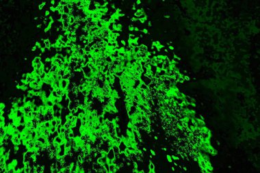 soyut yeşil ve siyah doku ve arkaplan, uzay duvar kağıdını kopyala