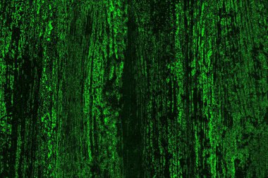 soyut yeşil doku, arkaplan, duvar kağıdını kopyala