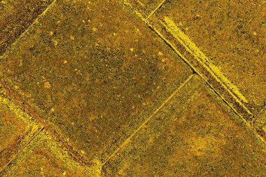 Kırmızı sarı ve siyah renkli kirli duvar, desenli arka plan.