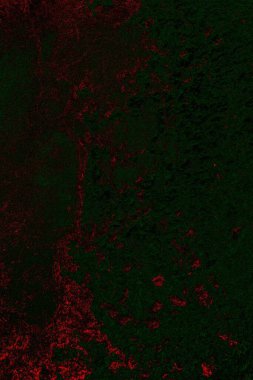 soyut siyah yeşil doku, arkaplan, duvar kağıdını kopyala