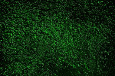 soyut yeşil doku, arkaplan, duvar kağıdını kopyala