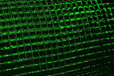 soyut siyah yeşil doku, arkaplan, duvar kağıdını kopyala