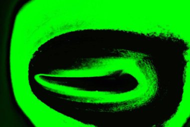 soyut siyah yeşil doku, arkaplan, duvar kağıdını kopyala