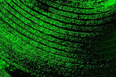 soyut yeşil ve siyah doku ve arkaplan, uzay duvar kağıdını kopyala