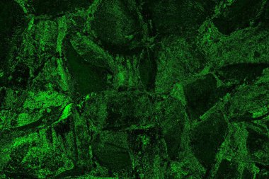 soyut siyah yeşil doku, arkaplan, duvar kağıdını kopyala