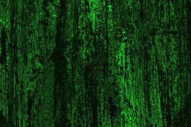 soyut yeşil doku, arkaplan, duvar kağıdını kopyala