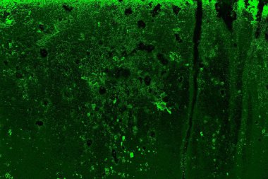 Metal plaka dokusu ve arka plan. Metal yüzey paslanmış lekeler. Paslı metal arka plan. Metal arkaplan.