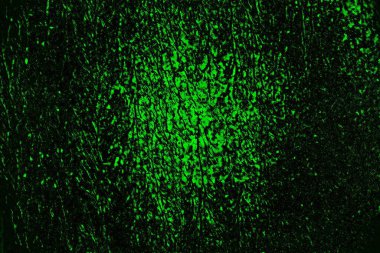 Yeşil ve siyah doku ve arkaplan, boşluğu kopyala