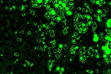 soyut Yeşil ve siyah doku ve arkaplan, boşluğu kopyala