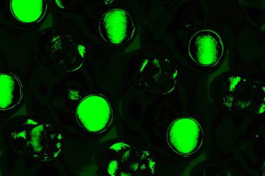 Yeşil ve siyah doku ve arkaplan, boşluğu kopyala