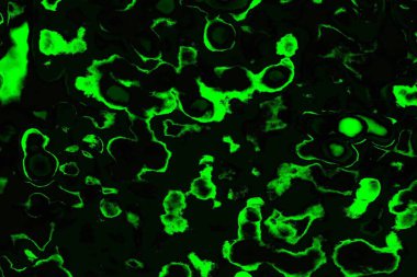soyut siyah yeşil doku, arkaplan, duvar kağıdını kopyala