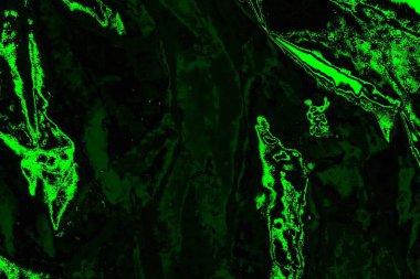 soyut Yeşil ve siyah doku ve arkaplan, boşluğu kopyala