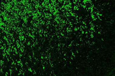 Yeşil ve siyah doku ve arkaplan, boşluğu kopyala