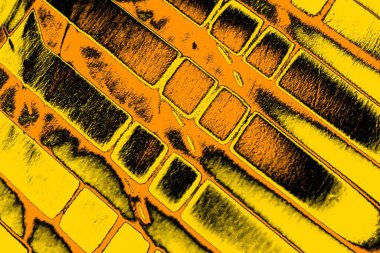 Kırmızı sarı ve siyah renkli kirli duvar, desenli arka plan.