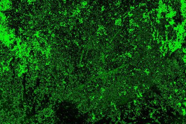 soyut siyah yeşil doku, arkaplan, duvar kağıdını kopyala