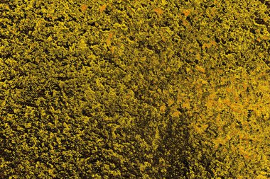 Kırmızı sarı ve siyah renkli kirli duvar, desenli arka plan.