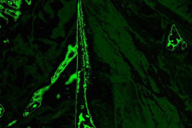 soyut Yeşil ve siyah doku ve arkaplan, boşluğu kopyala