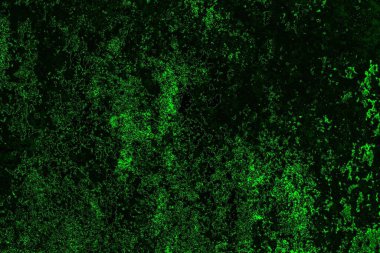 soyut Yeşil ve siyah doku ve arkaplan, boşluğu kopyala