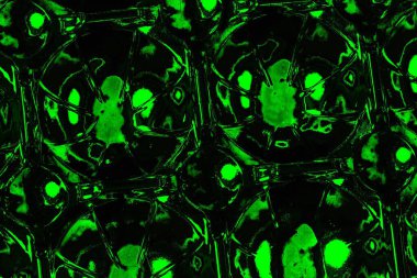 soyut siyah yeşil doku, arkaplan, duvar kağıdını kopyala