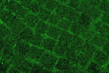 soyut siyah yeşil doku, arkaplan, duvar kağıdını kopyala