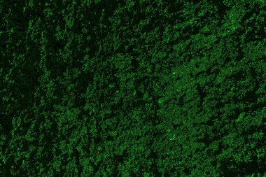 Yeşil ve siyah doku ve arkaplan, boşluğu kopyala