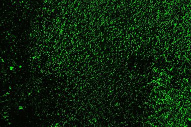 soyut siyah yeşil doku, arkaplan, duvar kağıdını kopyala