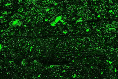 soyut siyah yeşil doku, arkaplan, duvar kağıdını kopyala