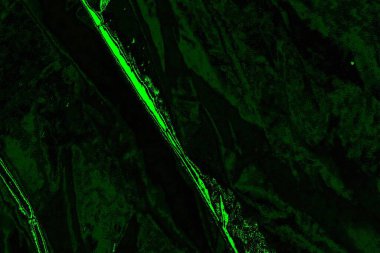 soyut Yeşil ve siyah doku ve arkaplan, boşluğu kopyala