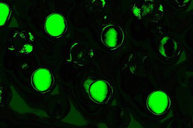 Yeşil ve siyah doku ve arkaplan, boşluğu kopyala