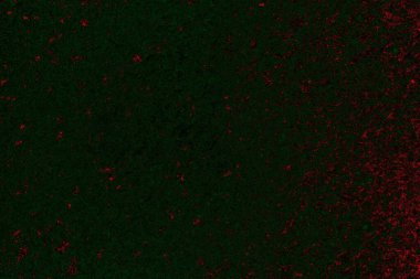 soyut siyah yeşil doku, arkaplan, duvar kağıdını kopyala